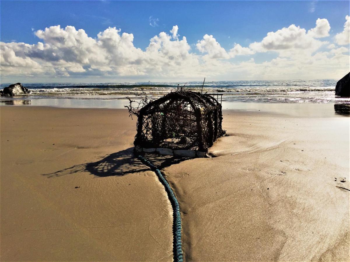 St Awaries Studio, Carne Rosslare Harbour エクステリア 写真