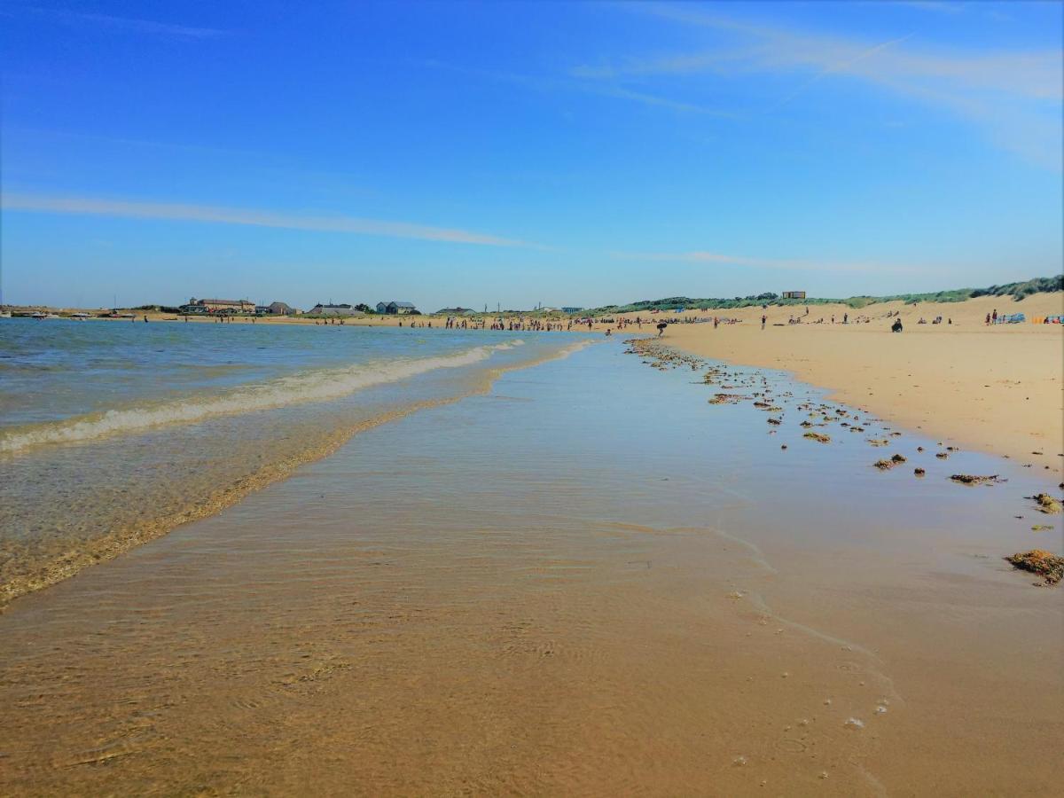 St Awaries Studio, Carne Rosslare Harbour エクステリア 写真
