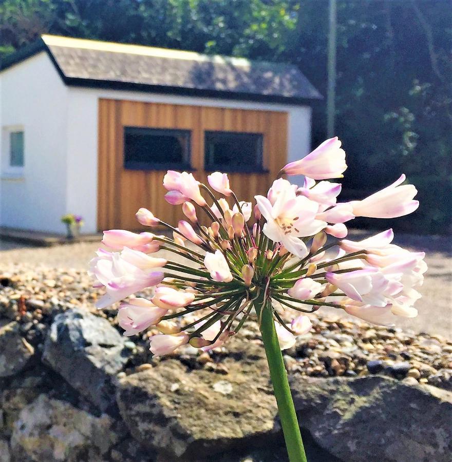 St Awaries Studio, Carne Rosslare Harbour エクステリア 写真